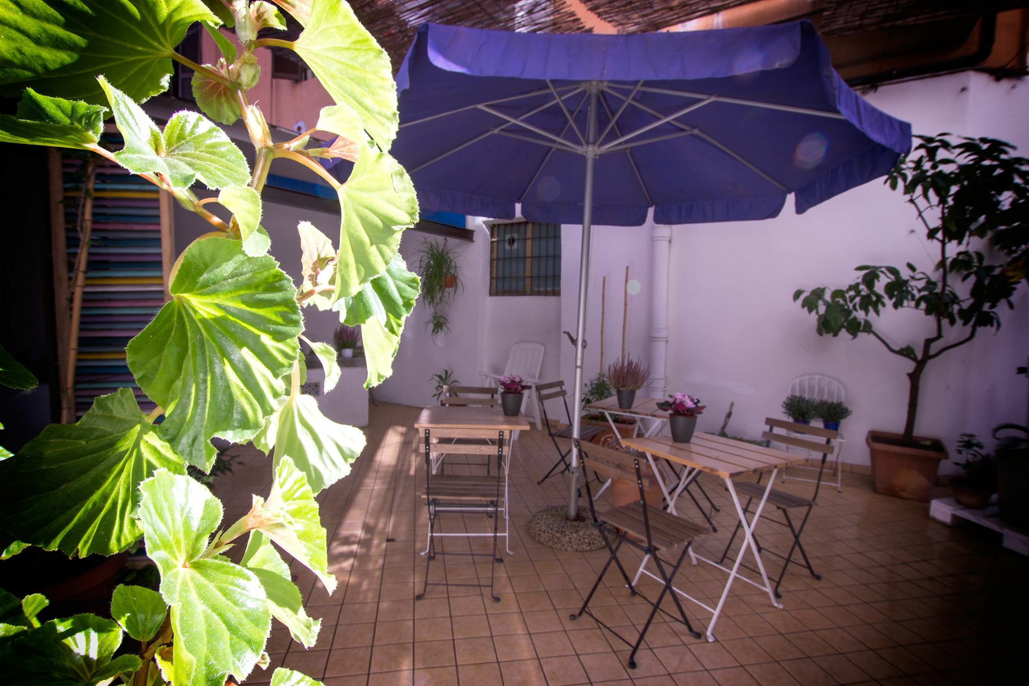 Casa Maplink Hotel Rome Exterior photo